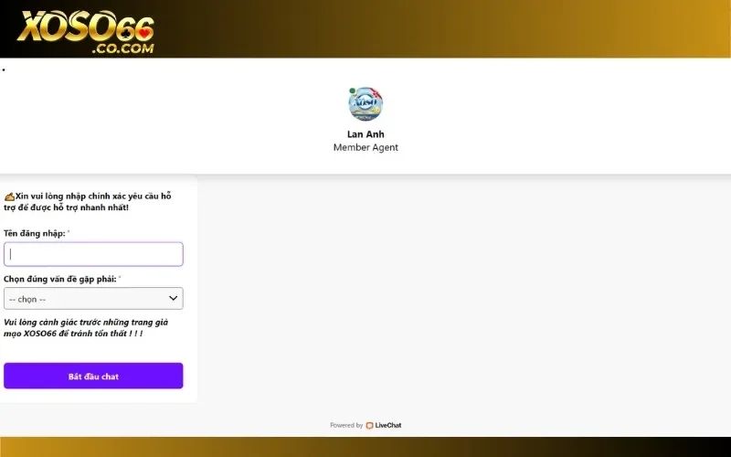 Sử dụng tính năng chat live trên website và ứng dụng chính thức