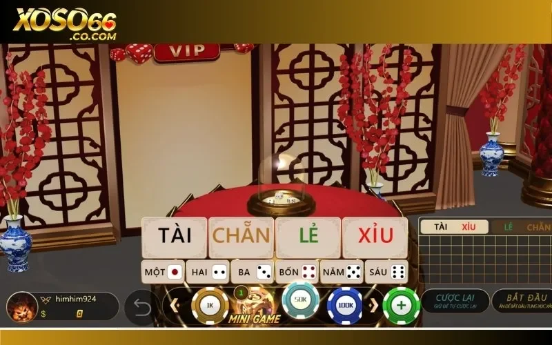 Lưu ý trong cách đặt cược để không vi phạm luật