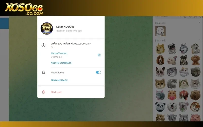 Sử dụng tài khoản Telegram để nhận tư vấn cực kỳ tiện lợi